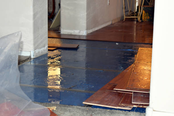 Professional Water Extraction technician working in Victoria, KS